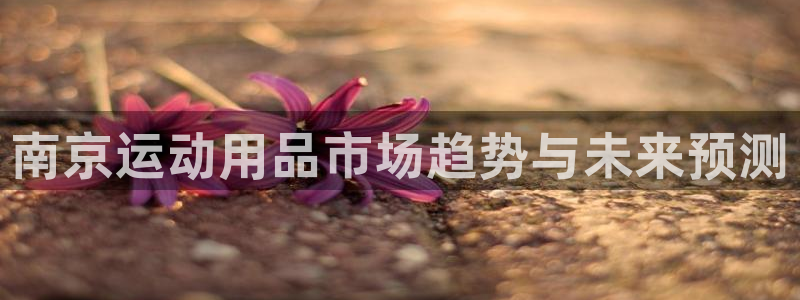 九游体育官网下载平台注册：南京运动用品市场趋势与未来