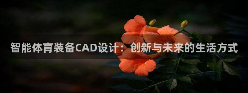 九游体育官网下载官方客服电话：智能体育装备CAD设计：创新与