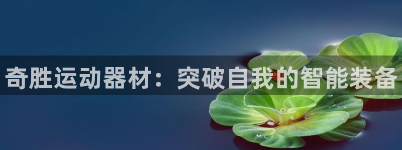 九游体育官网下载招商电话是多少啊：奇胜运动器材：突破