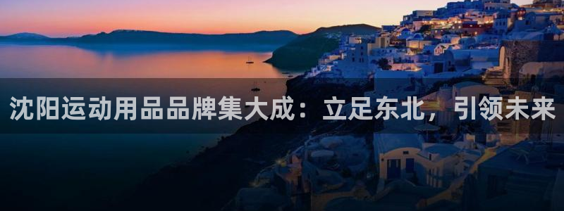 九游体育官方正版app集团