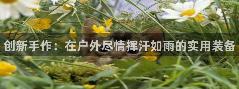 九游体育官网下载招商电话号码:创新手作:在户外尽情挥汗如雨的