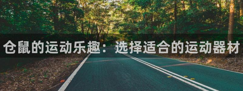 九游体育官方正版app科技：仓鼠的运动乐趣：选择适合的运动器