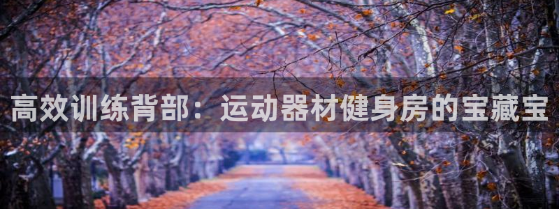 九游体育官方正版app集团：高效训练背部：运动器材健身房的宝