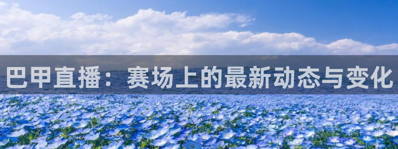 极速体育nba直播吧在线观看