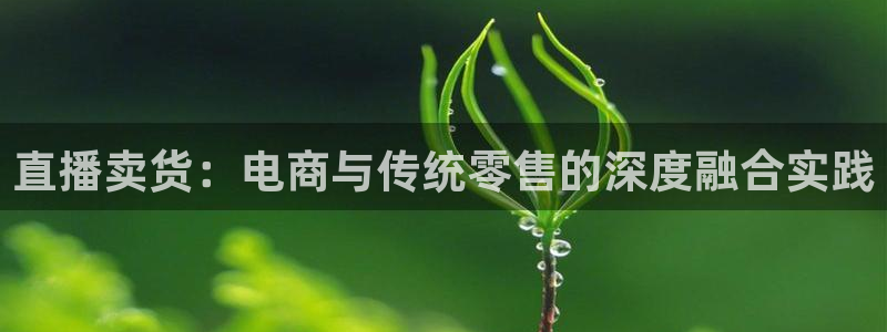 直播吧足球比赛：直播卖货：电商与传统零售的深度融合实践