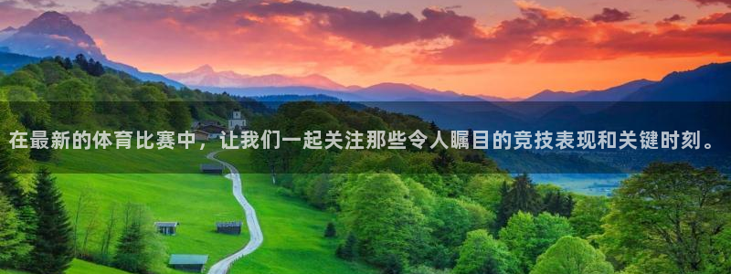 九球直播吧