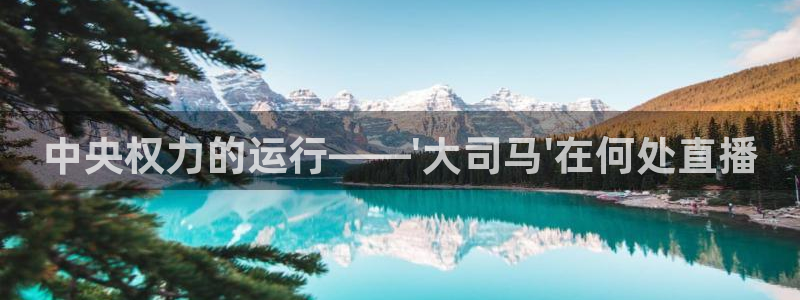极速体育直播吧：中央权力的运行——\'大司马\'在何处直播