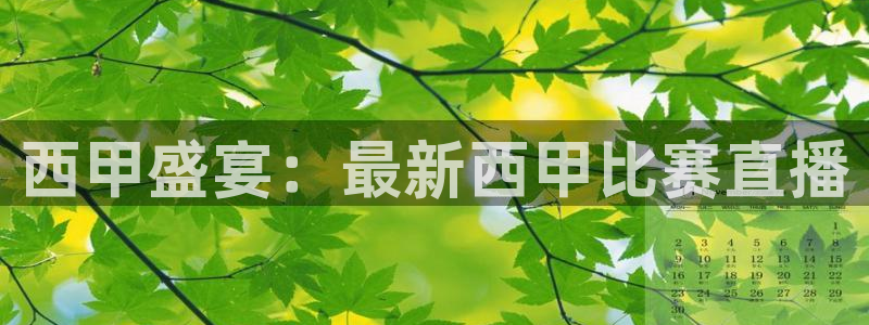 888体育直播吧：西甲盛宴：最新西甲比赛直播