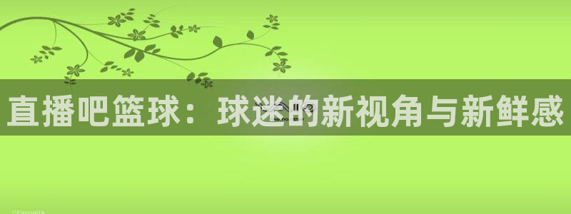 360雨燕直播吧：直播吧篮球：球迷的新视角与新鲜感