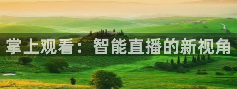 nba直播吧极速直播：掌上观看：智能直播的新视角
