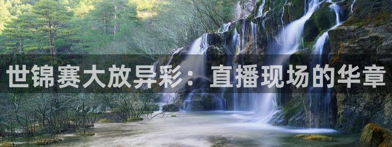 正在直播吧足球比赛：世锦赛大放异彩：直播现场的华章