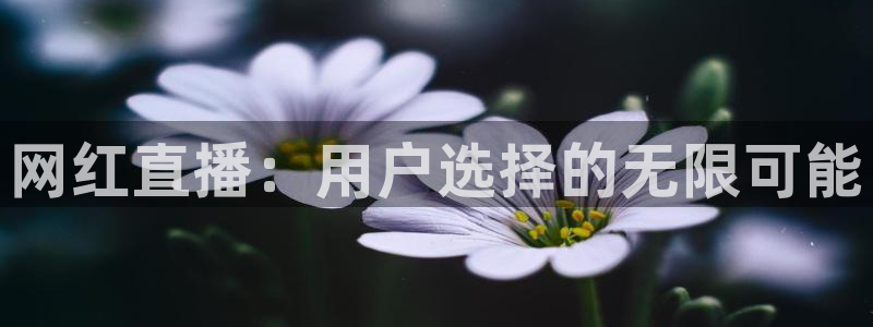 英超直播吧极速体育：网红直播：用户选择的无限可能