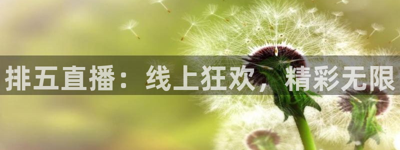 乐球体育直播吧：排五直播：线上狂欢，精彩无限